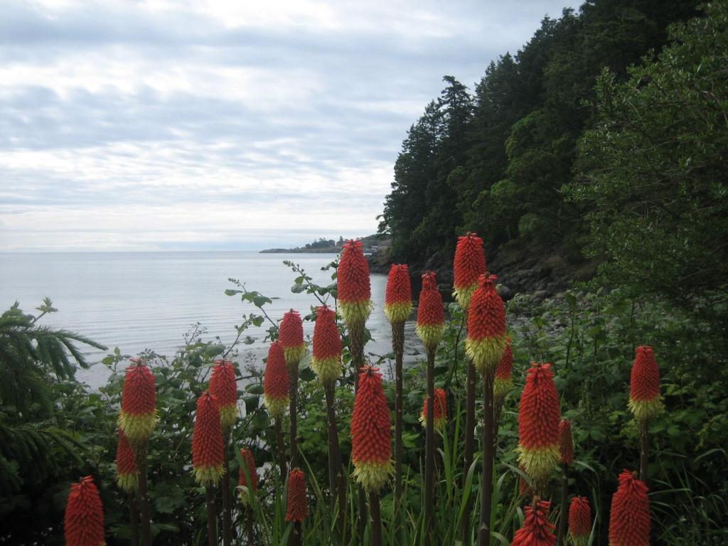 The Lodge At Weir'S Beach Metchosin エクステリア 写真