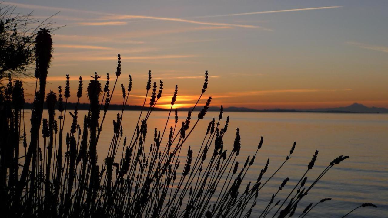 The Lodge At Weir'S Beach Metchosin エクステリア 写真